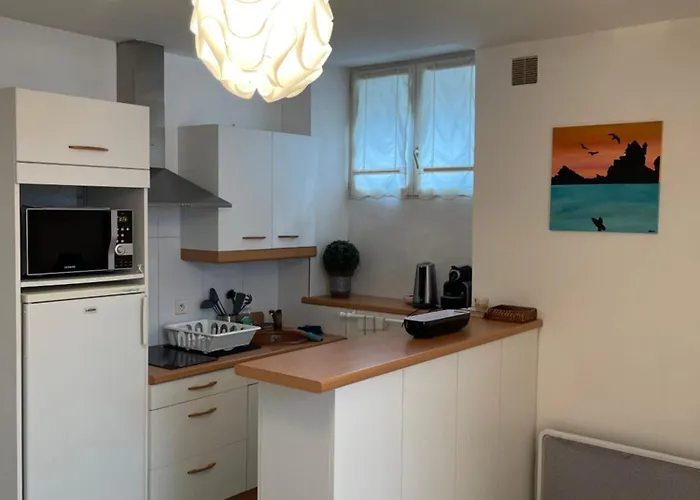 公寓 Appartement Biarritz *